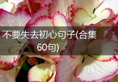 不要失去初心句子(合集60句)