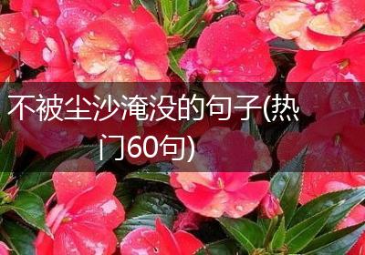 不被尘沙淹没的句子(热门60句)
