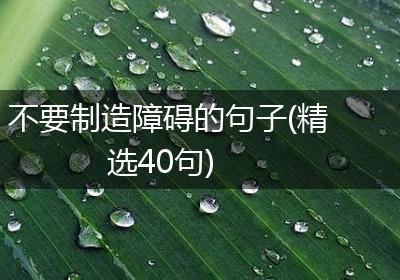不要制造障碍的句子(精选40句)