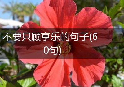 不要只顾享乐的句子(60句)