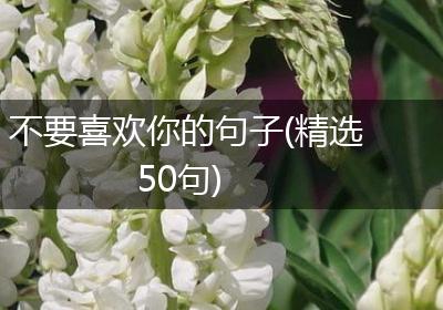 不要喜欢你的句子(精选50句)