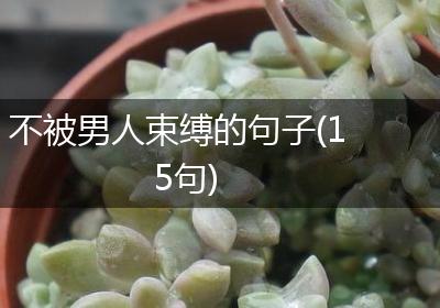 不被男人束缚的句子(15句)