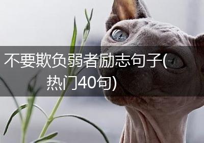 不要欺负弱者励志句子(热门40句)