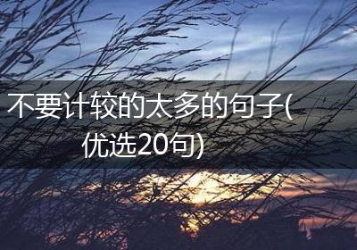 不要计较的太多的句子(优选20句)