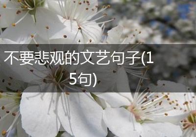 不要悲观的文艺句子(15句)