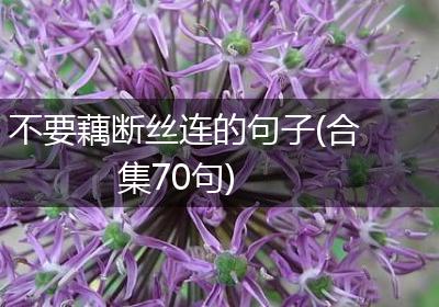 不要藕断丝连的句子(合集70句)