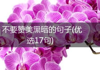 不要赞美黑暗的句子(优选17句)