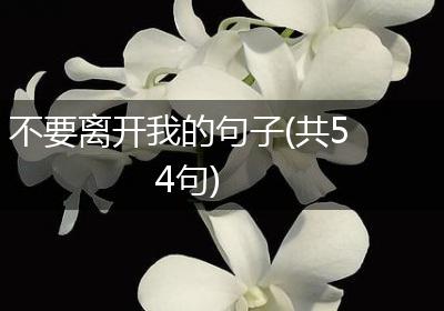 不要离开我的句子(共54句)