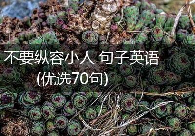 不要纵容小人 句子英语(优选70句)