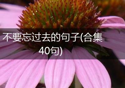 不要忘过去的句子(合集40句)
