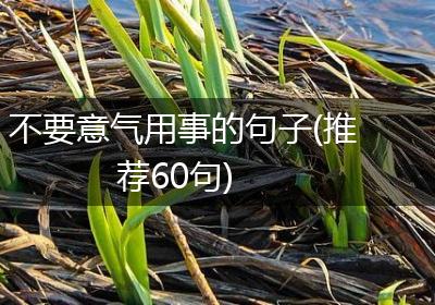 不要意气用事的句子(推荐60句)