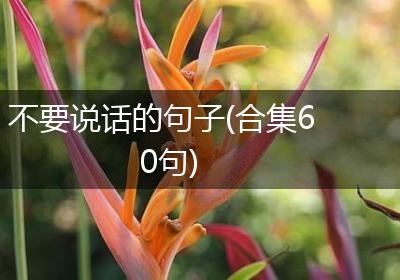 不要说话的句子(合集60句)