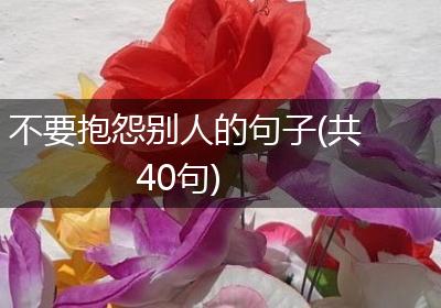 不要抱怨别人的句子(共40句)