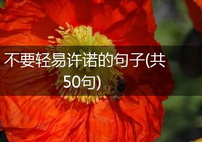 不要轻易许诺的句子(共50句)