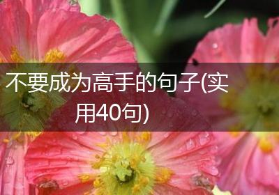 不要成为高手的句子(实用40句)