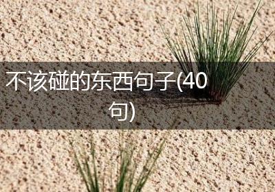 不该碰的东西句子(40句)