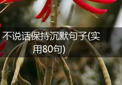 不说话保持沉默句子(实用80句)