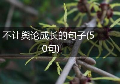 不让舆论成长的句子(50句)