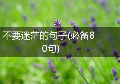 不要迷茫的句子(必备80句)