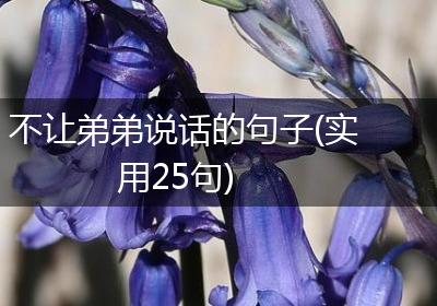 不让弟弟说话的句子(实用25句)