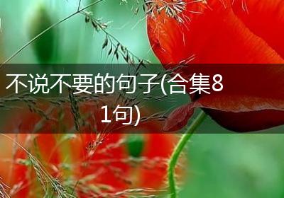 不说不要的句子(合集81句)