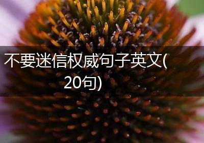 不要迷信权威句子英文(20句)