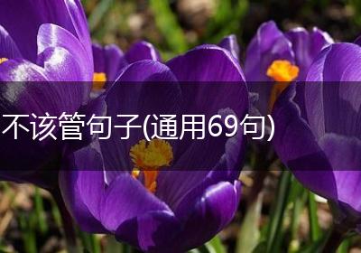 不该管句子(通用69句)