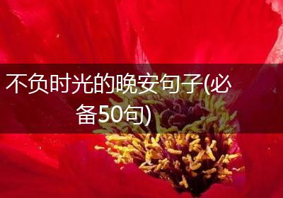 不负时光的晚安句子(必备50句)