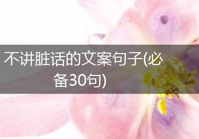 不讲脏话的文案句子(必备30句)