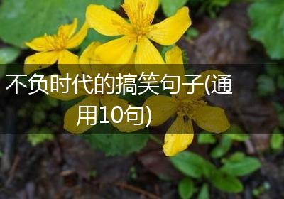 不负时代的搞笑句子(通用10句)