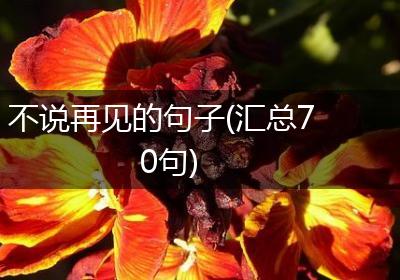 不说再见的句子(汇总70句)