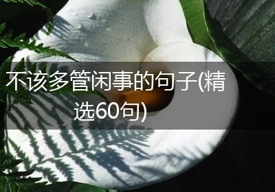 不该多管闲事的句子(精选60句)