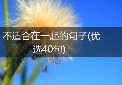 不适合在一起的句子(优选40句)