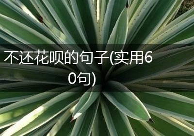 不还花呗的句子(实用60句)