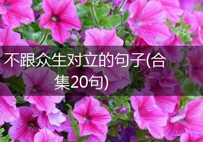 不跟众生对立的句子(合集20句)