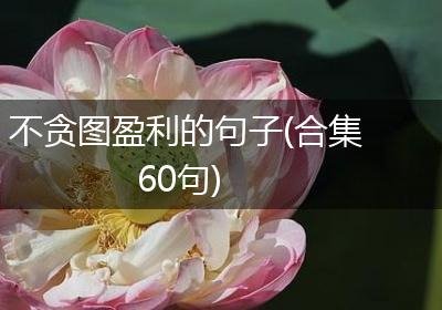 不贪图盈利的句子(合集60句)