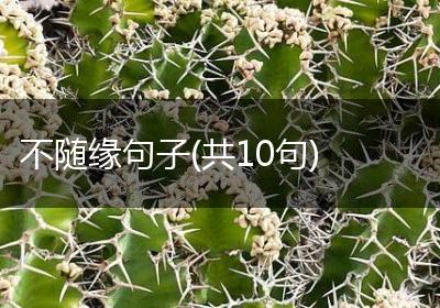 不随缘句子(共10句)