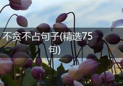 不贪不占句子(精选75句)