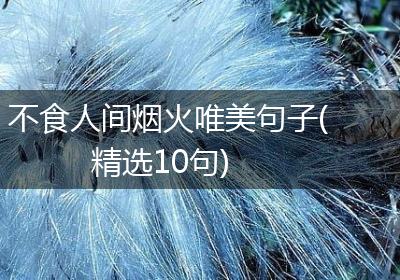不食人间烟火唯美句子(精选10句)