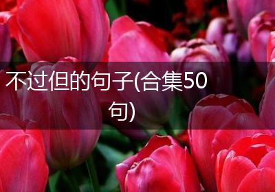 不过但的句子(合集50句)