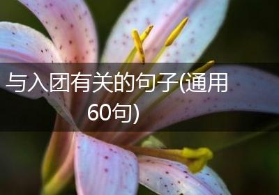 与入团有关的句子(通用60句)