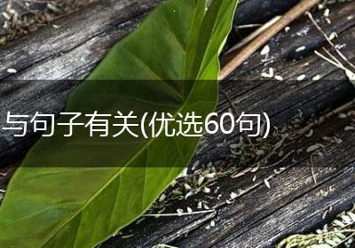 与句子有关(优选60句)