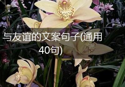 与友谊的文案句子(通用40句)