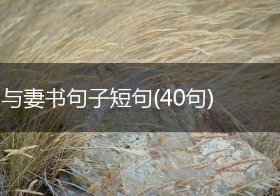 与妻书句子短句(40句)