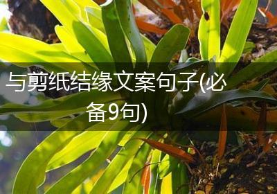 与剪纸结缘文案句子(必备9句)