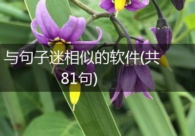 与句子迷相似的软件(共81句)