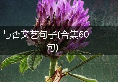 与否文艺句子(合集60句)