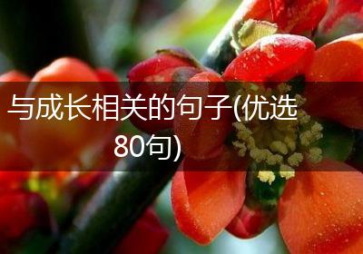 与成长相关的句子(优选80句)