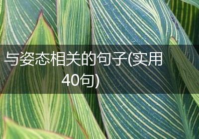与姿态相关的句子(实用40句)