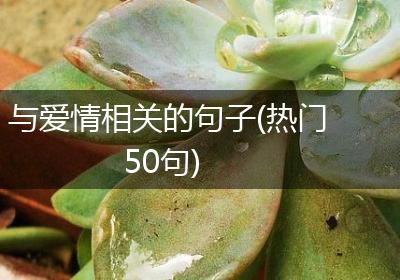 与爱情相关的句子(热门50句)
